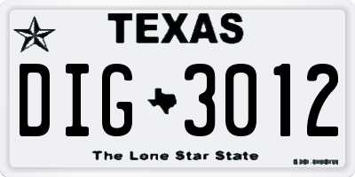 TX license plate DIG3012