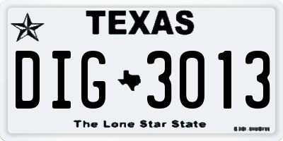 TX license plate DIG3013