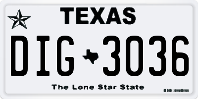 TX license plate DIG3036