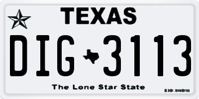 TX license plate DIG3113