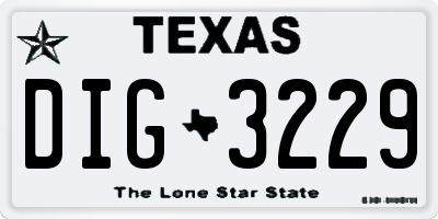 TX license plate DIG3229