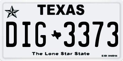 TX license plate DIG3373