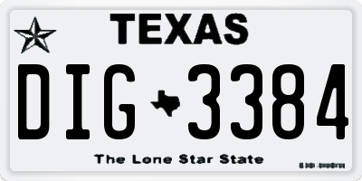 TX license plate DIG3384