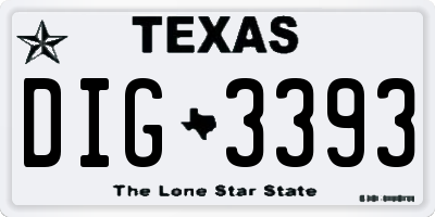 TX license plate DIG3393