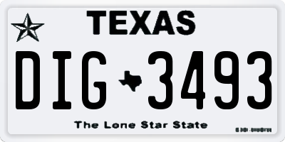 TX license plate DIG3493