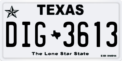 TX license plate DIG3613