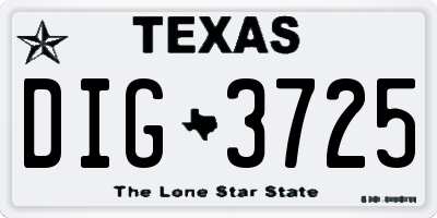 TX license plate DIG3725