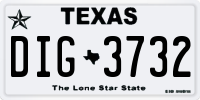 TX license plate DIG3732