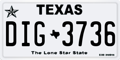 TX license plate DIG3736