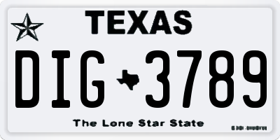 TX license plate DIG3789