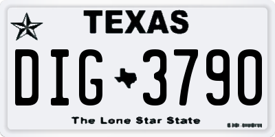 TX license plate DIG3790