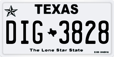 TX license plate DIG3828