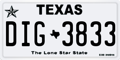 TX license plate DIG3833