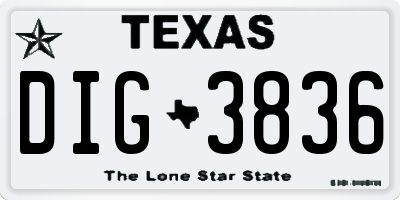 TX license plate DIG3836