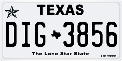 TX license plate DIG3856