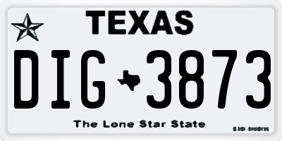 TX license plate DIG3873