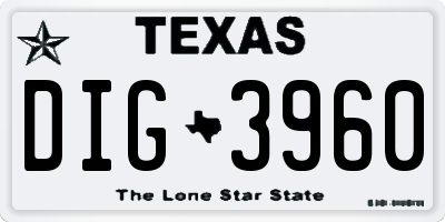 TX license plate DIG3960