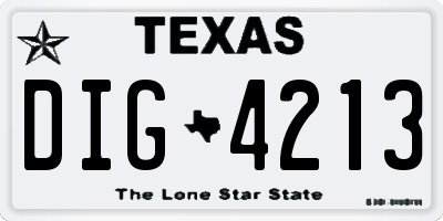 TX license plate DIG4213