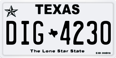 TX license plate DIG4230