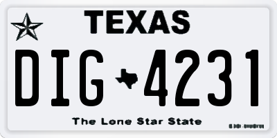 TX license plate DIG4231