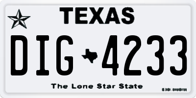 TX license plate DIG4233