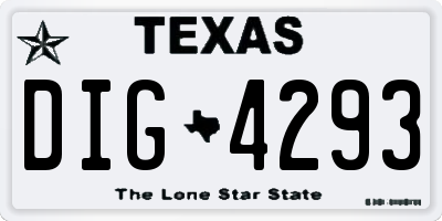 TX license plate DIG4293