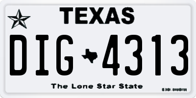 TX license plate DIG4313