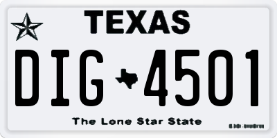 TX license plate DIG4501