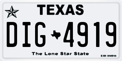 TX license plate DIG4919