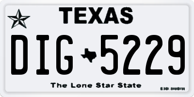 TX license plate DIG5229
