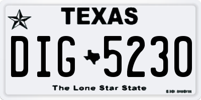 TX license plate DIG5230