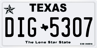 TX license plate DIG5307