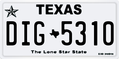 TX license plate DIG5310