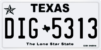 TX license plate DIG5313