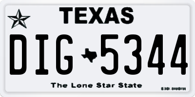 TX license plate DIG5344