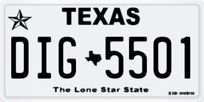 TX license plate DIG5501