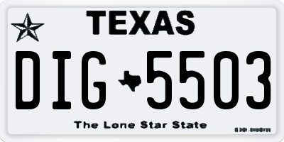 TX license plate DIG5503