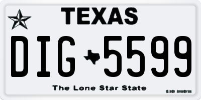 TX license plate DIG5599