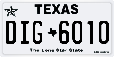 TX license plate DIG6010