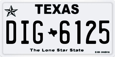 TX license plate DIG6125