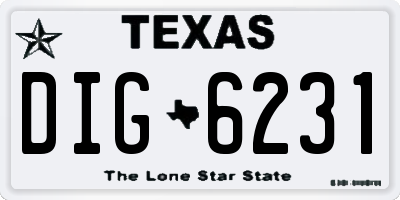 TX license plate DIG6231