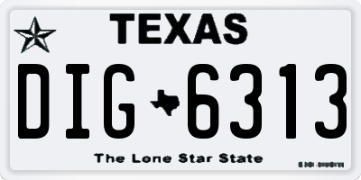 TX license plate DIG6313