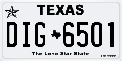 TX license plate DIG6501