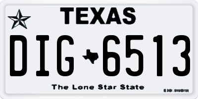 TX license plate DIG6513