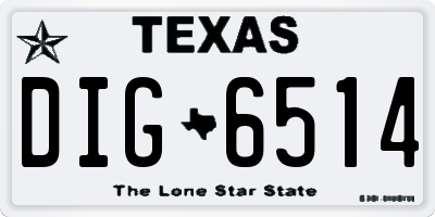 TX license plate DIG6514