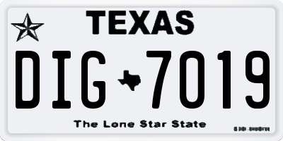 TX license plate DIG7019