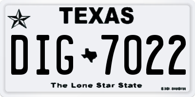 TX license plate DIG7022