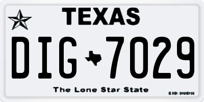 TX license plate DIG7029