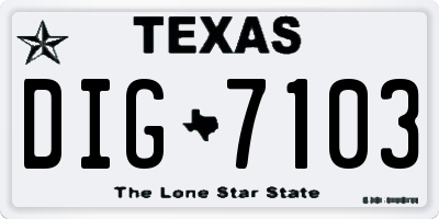 TX license plate DIG7103