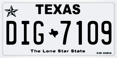 TX license plate DIG7109